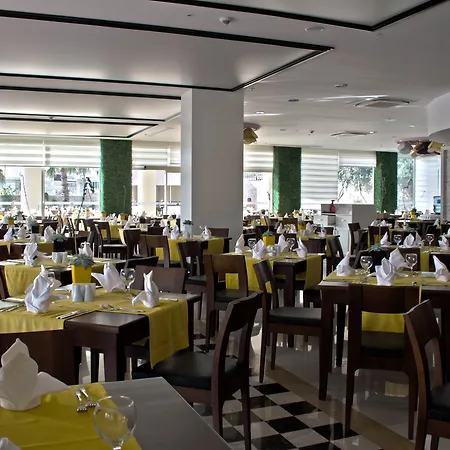 Alegria & (adults Only) シダ