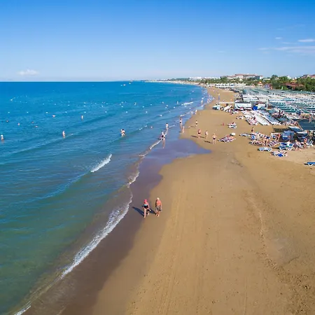 Alegria & (adults Only) シダ