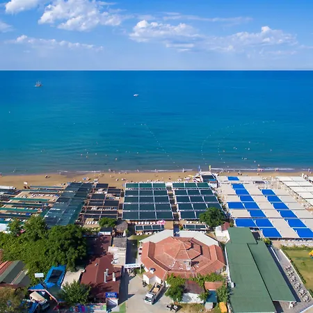 Alegria & (adults Only) シダ